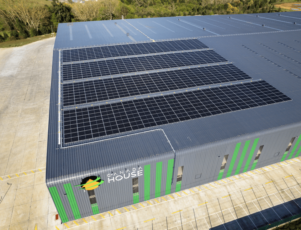 Imagen - Planta Canada House